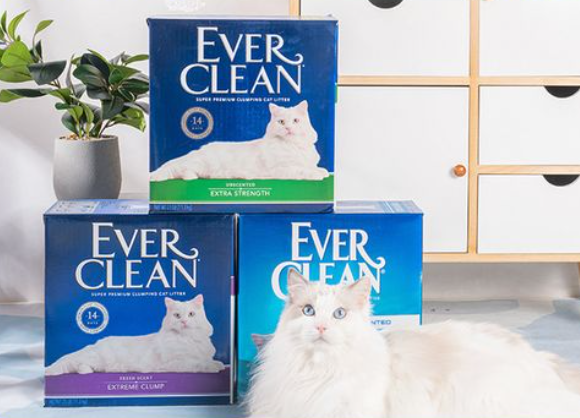 豆腐猫砂和膨润土哪个好？铂钻EverClean膨润土无猫不爱
