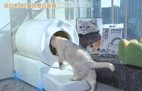宠洁仕:重新定义智能猫马桶的精准体验 宠洁仕:重新定义智能猫马桶的精准体验