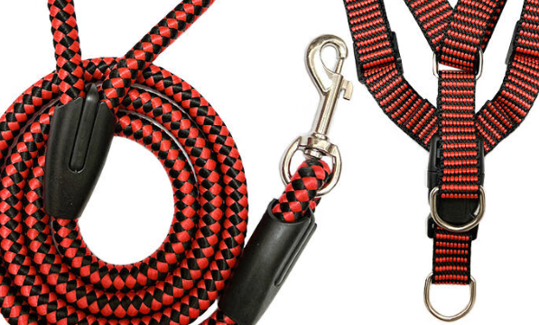 遥绾惜宠物项圈好不好