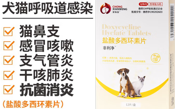 宠仙翁怎么样