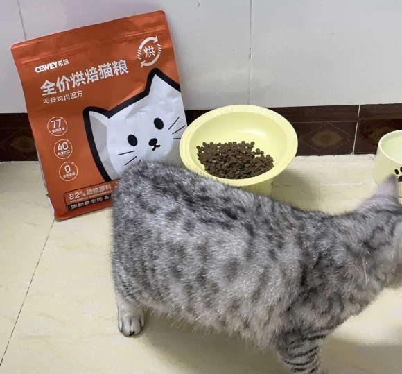 猫粮什么牌的好？看希喂低温烘焙猫粮如何成为家庭新宠