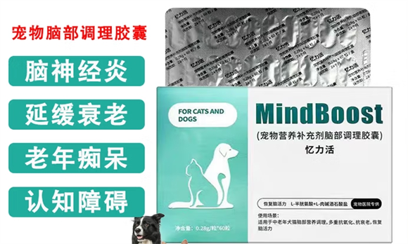 用忆力活调理胶囊，让毛孩的世界依旧清晰