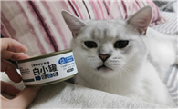 猫主食罐头哪个牌子好？cewey希喂猫罐头，兼顾品质与健康