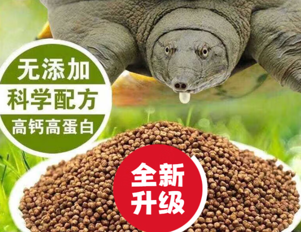 春锦秋鲤乌龟饲料和鱼饲料一样吗