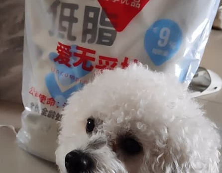 缓解胰腺炎狗粮品牌推荐:每日狗粮呵护狗狗胰腺健康 缓解胰腺炎狗粮品牌推荐:每日狗粮呵护狗狗胰腺健康
