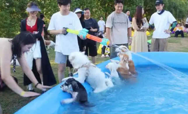 星云里·半城大山露营度假区今夏启幕宠物社交新体验 星云里·半城大山露营度假区今夏启幕宠物社交新体验