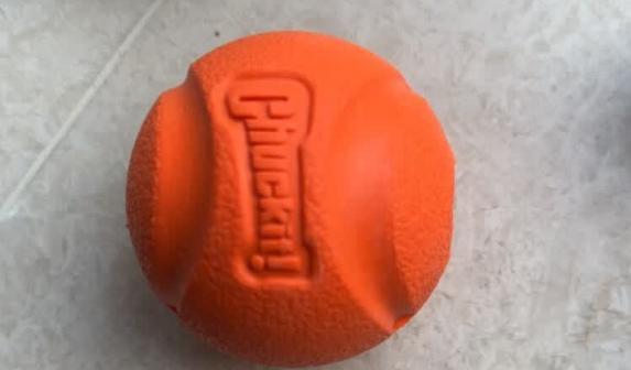 Petmate经典弹球:宠物玩具的完美选择! Petmate经典弹球:宠物玩具的完美选择!