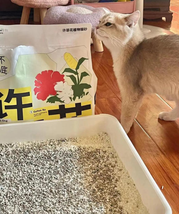 布偶猫猫砂推荐平价:许翠花防粘底+无尘,成多猫家庭省钱利器 布偶猫猫砂推荐平价:许翠花防粘底+无尘,成多猫家庭省钱利器
