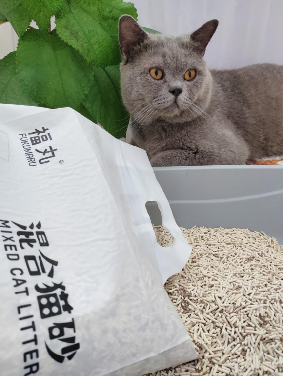 哪种猫砂除臭最好?福丸混合猫砂靠这三招终结异味烦恼 哪种猫砂除臭最好?福丸混合猫砂靠这三招终结异味烦恼