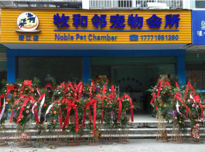 牧和邻宠物店加盟前景好吗 牧和邻宠物店加盟前景好吗