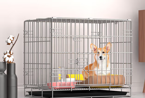 HKML狗笼怎么样