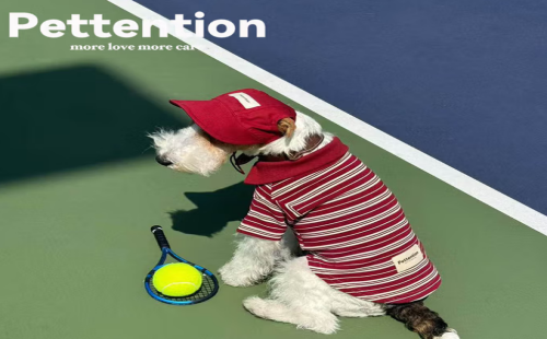 Pettention