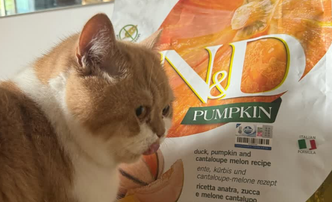 护肠猫粮哪个品牌好?法米娜重新定义其标准! 护肠猫粮哪个品牌好?法米娜重新定义其标准!