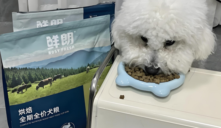 国产狗粮品牌排行中的鲜朗，究竟凭什么跻身榜单前列？