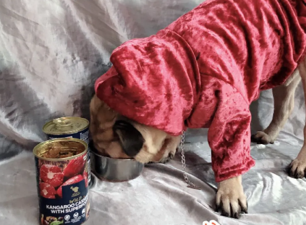 进口狗零食品牌推荐比利玛格:袋鼠肉罐头,给毛孩子的星级呵护 进口狗零食品牌推荐比利玛格:袋鼠肉罐头,给毛孩子的星级呵护