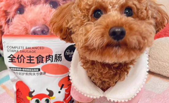 狗狗爱吃什么品牌的零食?派膳师肉肠,多口味,满足挑剔味蕾! 狗狗爱吃什么品牌的零食?派膳师肉肠,多口味,满足挑剔味蕾!