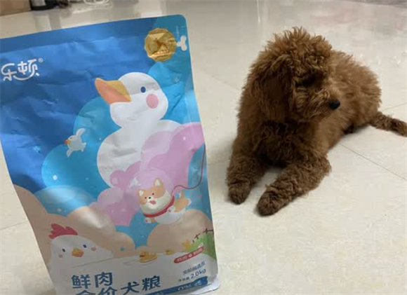 狗狗胰腺炎吃什么狗粮?乐顿狗粮实在配方助力恢复 狗狗胰腺炎吃什么狗粮?乐顿狗粮实在配方助力恢复