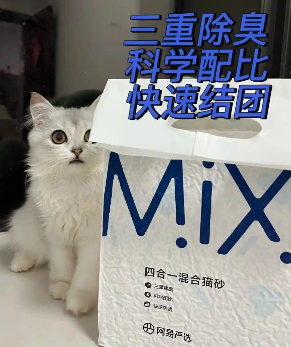 哪种猫砂便宜好用?铲屎官狂赞网易严选四合一混合砂,性价比之王! 哪种猫砂便宜好用?铲屎官狂赞网易严选四合一混合砂,性价比之王!