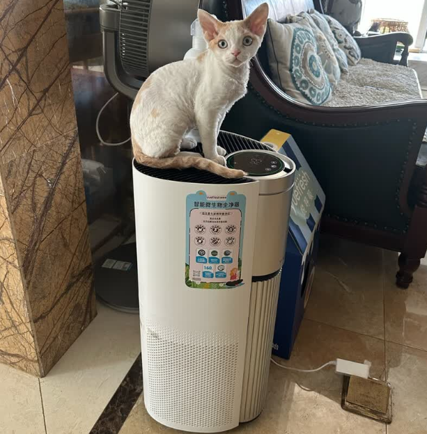 悦呼吸空气净化器,兼顾长效抑菌与便捷护理,养宠清洁更轻松 悦呼吸空气净化器,兼顾长效抑菌与便捷护理,养宠清洁更轻松