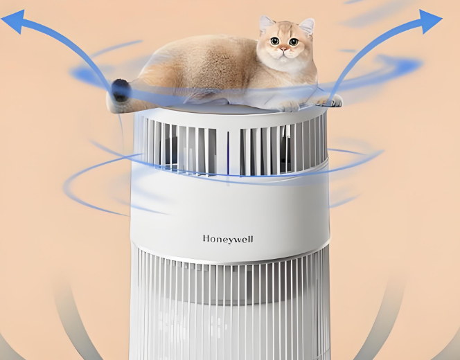 霍尼韦尔Honeywell净化器:为猫咪舔毛筑起隐形防线 霍尼韦尔Honeywell净化器:为猫咪舔毛筑起隐形防线