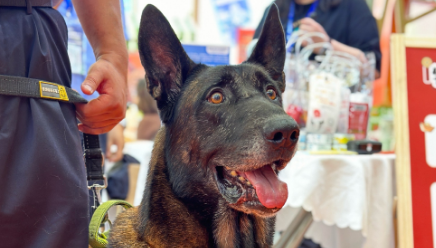 再刷新纪录！亚宠展5天吸引超52万观众，下届定档2026年8月