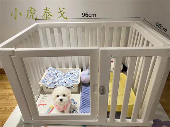 小虎泰戈宠物围栏多少钱 小虎泰戈宠物围栏多少钱
