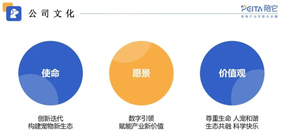 陪它智宠创始人是谁 陪它智宠创始人是谁