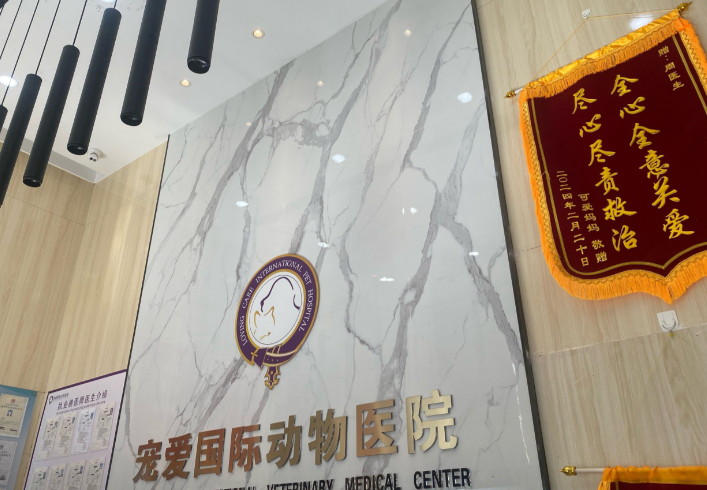宠爱国际:用专业守护毛孩子的健康乐园 宠爱国际:用专业守护毛孩子的健康乐园