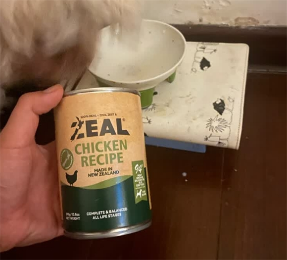 想哪些品牌狗罐头比较好？ZEAL 0号罐心仪之选~