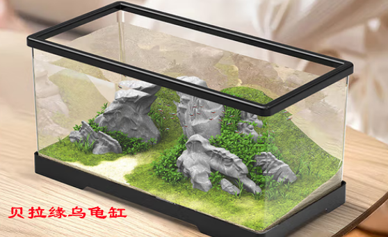 贝拉缘乌龟缸水深多少合适