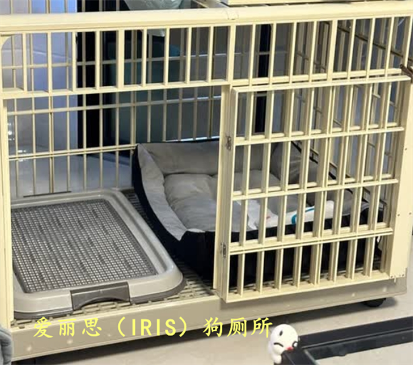 什么品牌的狗厕所好用？爱丽思防溅设计让清洁更省心