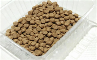 猫咪挑食吃哪款猫粮比较好