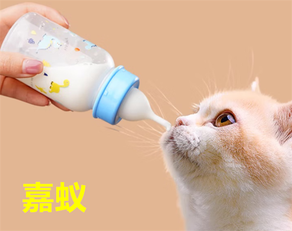嘉蚁宠物奶瓶怎么使用 嘉蚁宠物奶瓶怎么使用