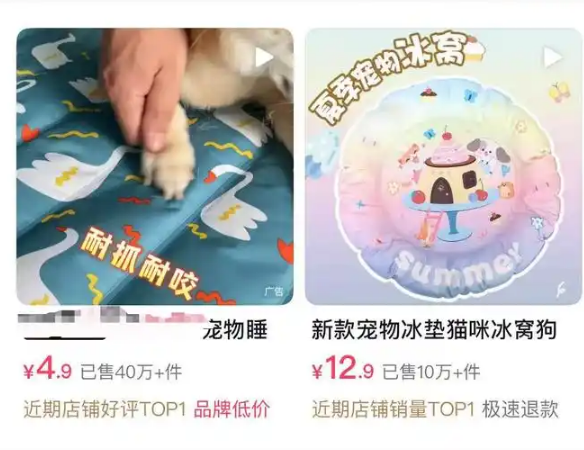 冰垫、防晒衣与剃毛争议:高温大考下,一场宠物经济与科学养宠的博弈 冰垫、防晒衣与剃毛争议:高温大考下,一场宠物经济与科学养宠的博弈