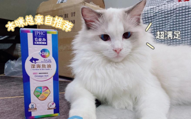 JPHC深海鱼油——宠物毛发护理新选择