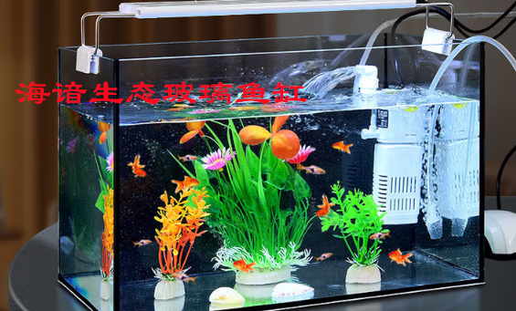 海谙生态玻璃鱼缸：光影与生态共舞的水族舞台