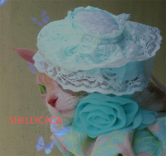 SHELLYCACA:以时尚为纽带,打造人宠共生的别样体验 SHELLYCACA:以时尚为纽带,打造人宠共生的别样体验