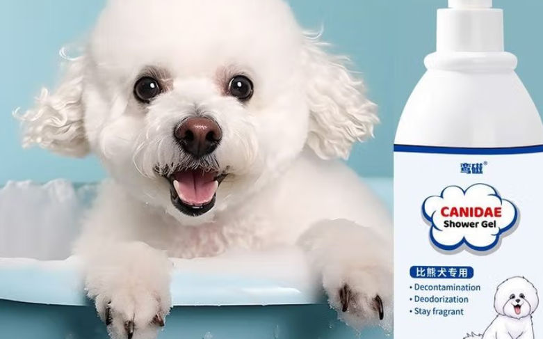 比熊专属：焕亮如雪，鸾磁美白沐浴露重塑毛发光彩