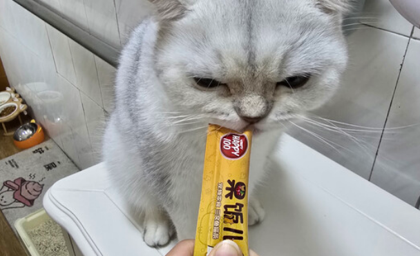 猫咪零食幼猫推荐顽皮，果饭儿猫条解馋又补充水分！