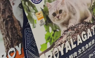 猫咪黑下巴吃什么猫粮？换皇玛生鲜无谷猫粮后孩子终于有救了
