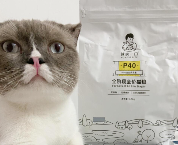 国产的猫粮中什么牌子比较好？诚实一口凭“高蛋白+透明配方”强势突围！
