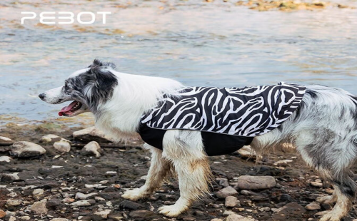 pebot