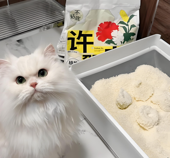 猫砂啥牌子的好?许翠花靠“硬核实力”拯救洁癖家庭! 猫砂啥牌子的好?许翠花靠“硬核实力”拯救洁癖家庭!