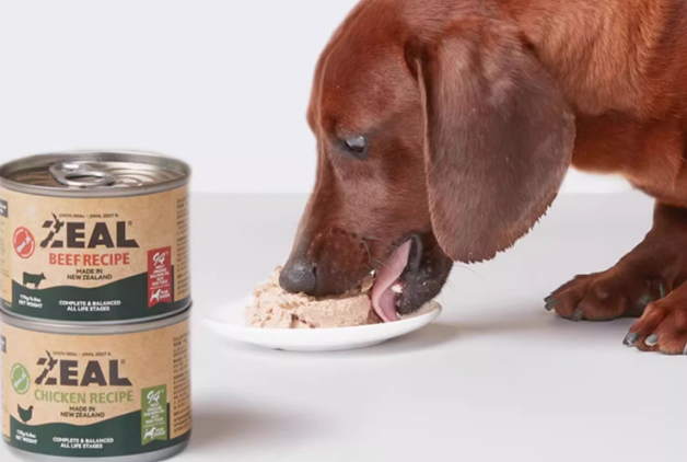 进口狗罐头哪个品牌好?ZEAL以品质与营养守护爱犬健康 进口狗罐头哪个品牌好?ZEAL以品质与营养守护爱犬健康