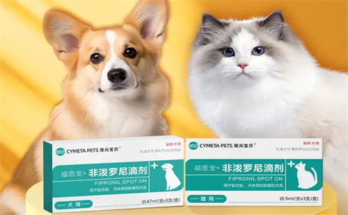 宠元宝贝