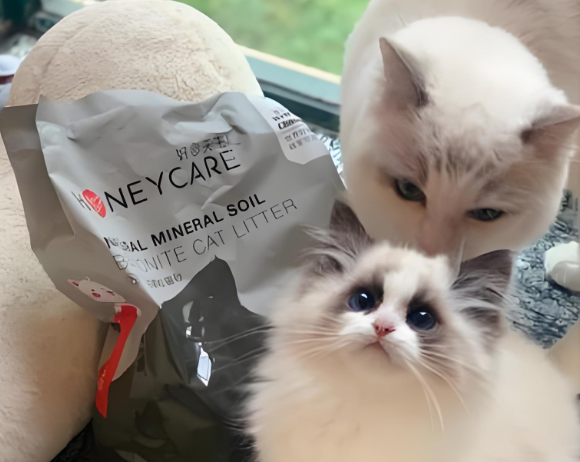 寻找比较好的膨润土猫砂？好命天生膨润土猫砂多重优势造就优质体验