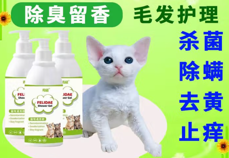 温和呵护:鸾磁猫咪通用沐浴露,敏感肌肤的安心之选 温和呵护:鸾磁猫咪通用沐浴露,敏感肌肤的安心之选