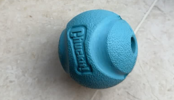 Petmate经典弹球:宠物玩具的完美选择! Petmate经典弹球:宠物玩具的完美选择!