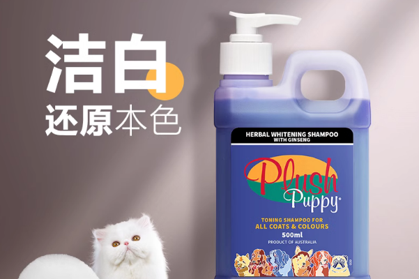 PLUSH PUPPY属于什么档次
