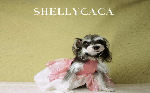 SHELLYCACA
